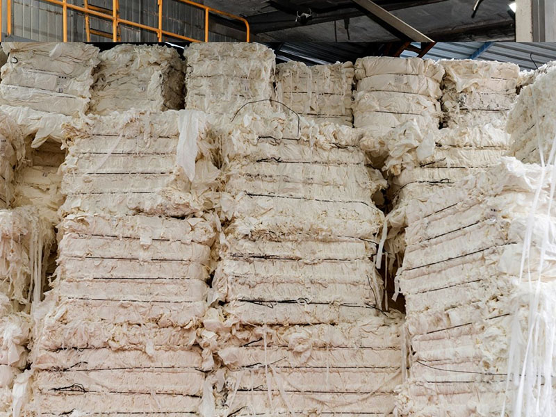 Paper & Pulp